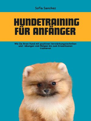 cover image of Hundetraining für Anfänger